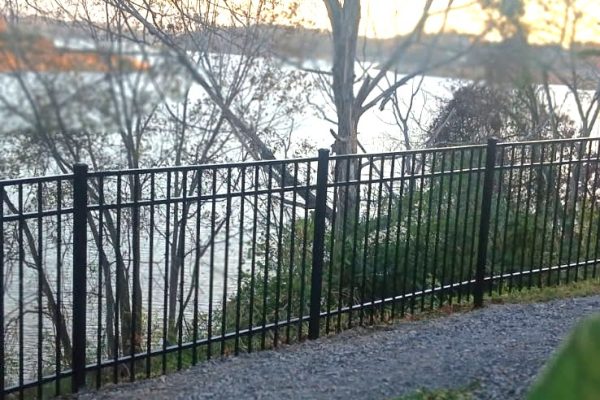 Ornamental Aluminum by Lake Picture