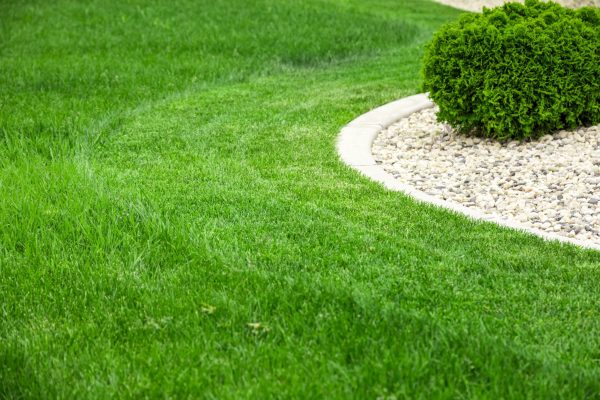 Shoemaker's Landscaping Edging​