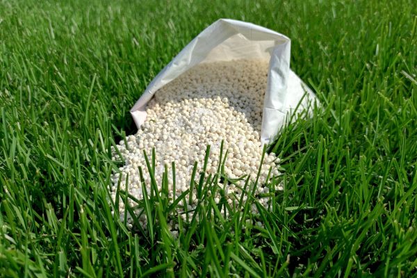 Shoemaker's Landscaping Seed and Fertilize